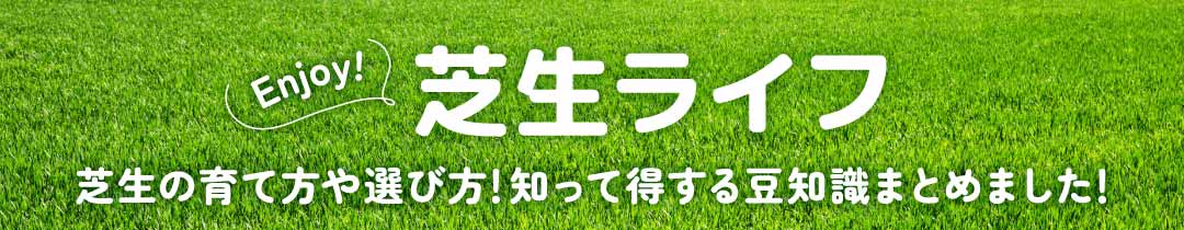 芝生ライフ