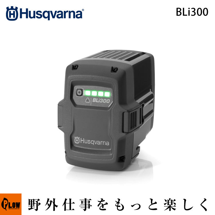 967071901_1024x1024.jpg?v=